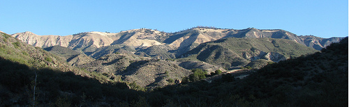 Little Pine Mountain Los Padres National Forest Hike Little Pine Mountain Santa Barbara