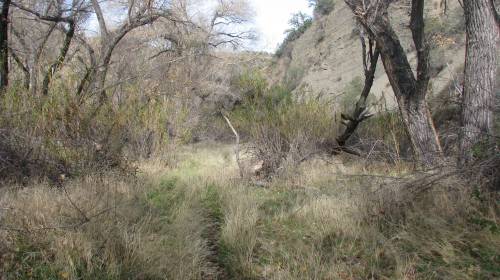 Los Padres National Forest Agua Caliente Hike Santa Barbara
