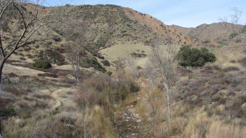 Los Padres National Forest Agua Caliente Hike Santa Barbara