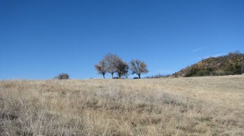 Los Padres National Forest Potrero Seco Hike