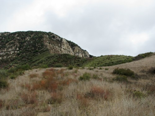 Los Padres National Forest Santa Ynez River Santa Barbara Hike Deer Aliso Canyon Upper Oso Sage Hill