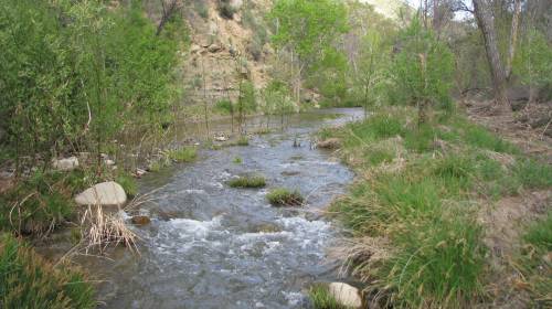 Los Padres National Forest Hike Sisquoc River