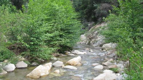 Los Padres National Forest Sespe Wilderness Hike