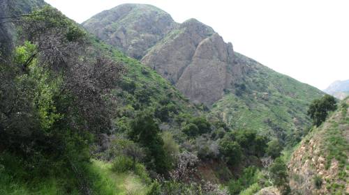 Los Padres National Forest Sespe Wilderness Hike
