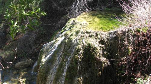 Los Padres National Forest Hike Santa Barbara