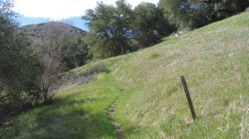 Los Padres National Forest Hike Santa Barbara