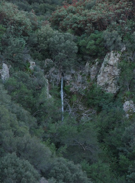 LosPadres National Forest Santa Barbara Backcountry Hike Forbush Flats Cold Springs Trail Santa Ynez Mountains