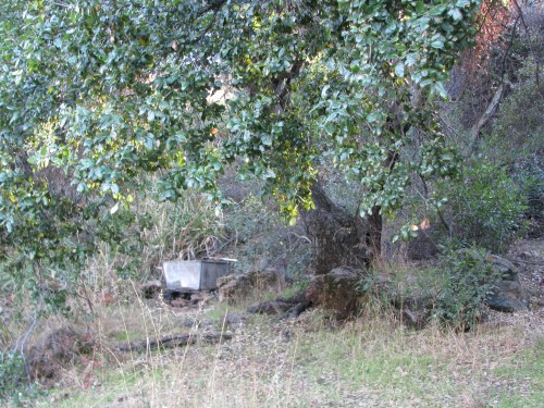 Los Padres National Forest Santa Barbara Backcountry Hike Little Pine Spring Little Pine Mountain Santa Cruz Trail