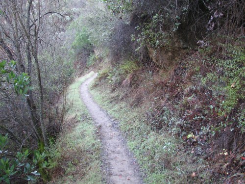 Los Padres National Forest Santa Cruz Trail Little Pine Mountain Upper Oso Santa Barbara Backcountry Hike