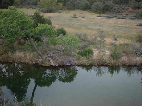 Beaver Lodge s Padres National Forest San Rafael Wilderness Sisquoc River Jackson Trail Sycamore Beavers