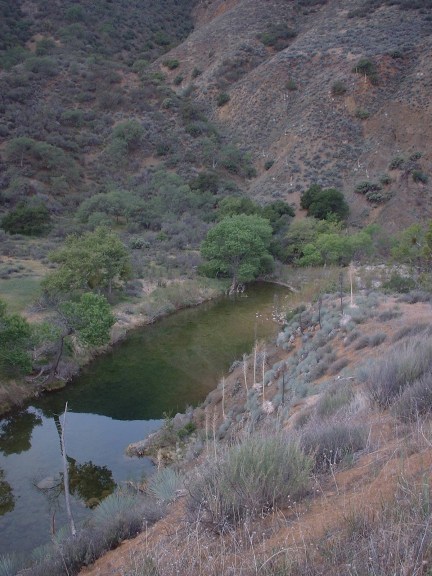 Beaver Pond along the Sisquoc River s Padres National Forest San Rafael Wilderness Sisquoc River Jackson Trail Sycamore Beavers