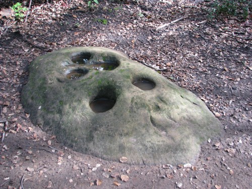 Los Padres National Forest Santa Barbara day hike Santa Ynez Mountains Stevens Park Jesusita Trail Chumash