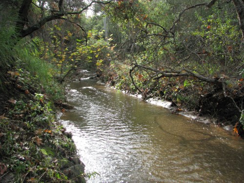 Los Padres National Forest Santa Barbara Day Hike Jesusita Trail San Roque Creek Santa Ynez Mountains