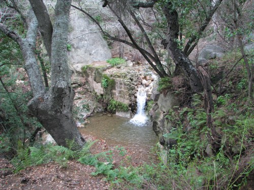 Los Padres National Forest Santa Barbara Hike Rattlesnake Canyon Santa Ynez Mountains
