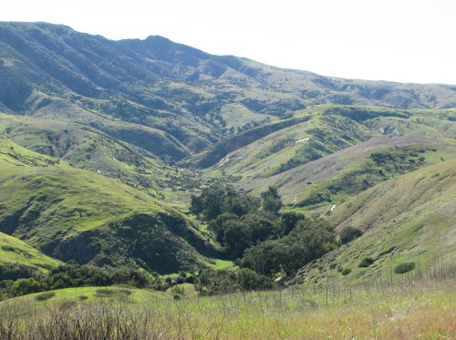 Scorpion Canyon from the Cavern Point Trail Santa Cruz Island Channel Island National Park Scorpion Canyon