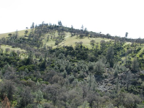 Los Padres National Forest Birabent Canyon Figueroa Mountain Ballard Camp Santa Barbara Day Hike