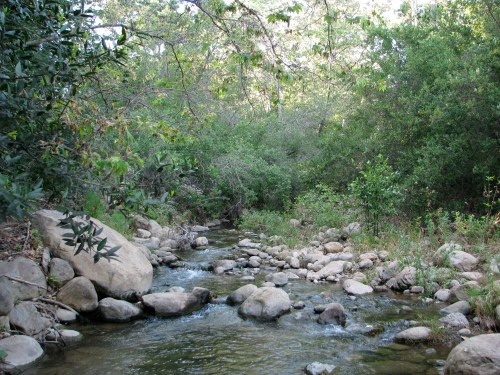 Santa Barbara day hike Santa Ynez Mountains  San Antonio Creek Tucker's Grove