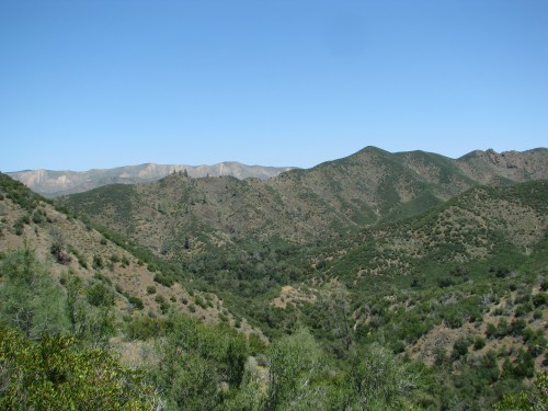 Los Padres National Forest