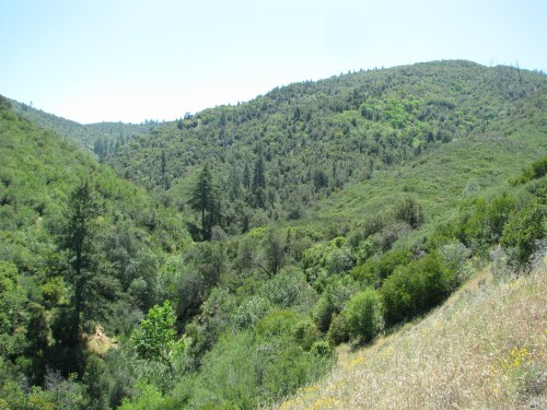 Munch Valley Los Padres National Forest Davy Brown Munch Canyon Zaca Lake Trail Santa Barbara Backcountry