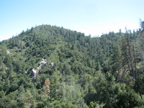 Munch Canyon Los Padres National Forest Santa Barbara Backcountry Munch Canyon Trail