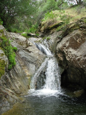 Los Padres National Forest Davy Brown