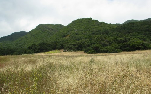 Gaviota Peak Hot Springs Santa Barbara Hike Santa Ynez Mountains State Park