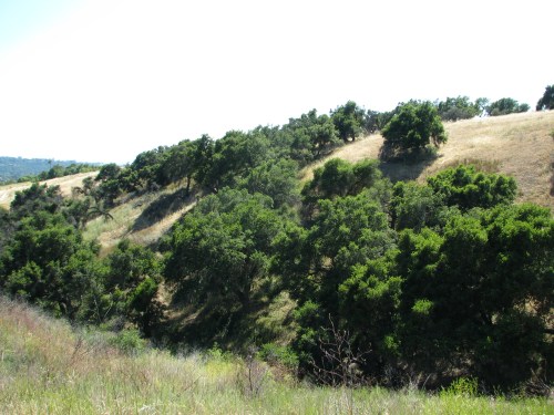 San Marcos Foothills Preserve Santa Barbara Hike Santa Ynez Mountains