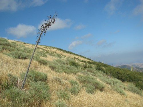 Gaviota Peak Santa Ynez Mountains Hot Springs Hike Santa Barbara State Park Los Padres National Forest Campbell Trail