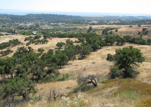 San Marcos Foothills Preserve Santa Barbara Hike Santa Ynez Mountains Oaks