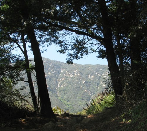 Santa Ynez Mountains Montecito Santa Barbra hike Los Padres National Forest Buena Vista Trail