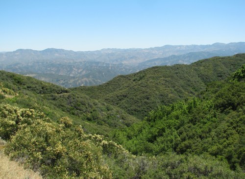 Los Padres National Forest Cold Springs Trail Forbush Flats Santa Ynez Mountains Santa Barbara Hike Backcountry