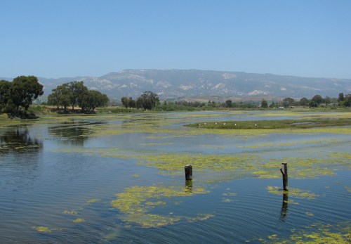 Devereux Slough Coal Oil Point Reserve Sands Beach UCSB Isla Vista Santa Barbara Hike