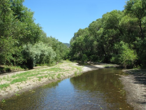 Santa Ynez River Mountains Los Padres National Forest Santa Barbara Backcountry Hike Cold Springs Trail