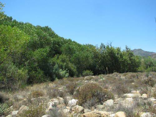 Los Padres National Forest Santa Ynez River Mountains Santa Barbara Hike Paradise Road Red Rock