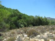 Los Padres National Forest Santa Ynez River Mountains Santa Barbara Hike Paradise Road Red Rock
