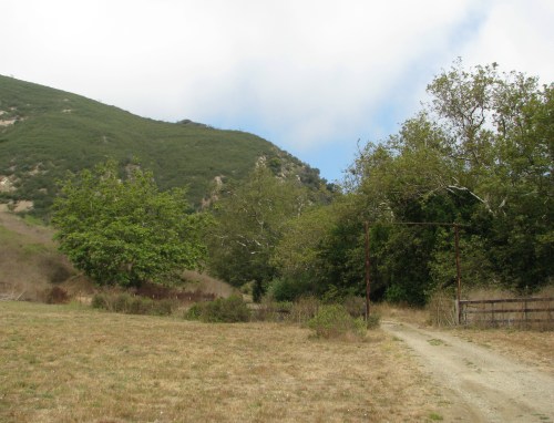 Main Road Arroyo Hondo Preserve Santa Ynez Mountains Santa Barbara Hike Trail