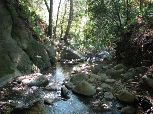 Santa Ynez Mountains El Capitan State Beach Creek Bill Wallace Trail