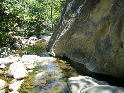 Creek Santa Ynez Mountains Arroyo Hondo Preserve Santa Barbara Hike Trail