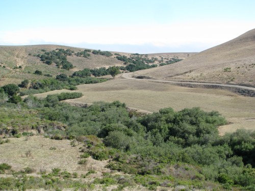 Corralitos Canyon Point Sal Santa Maria Hike