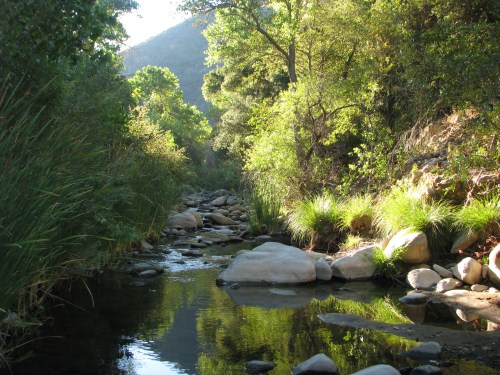 Santa Cruz Creek at Dawn Santa Cruz Creek Los Padres National Forest San Rafael Wilderness Santa Barbara Backcountry