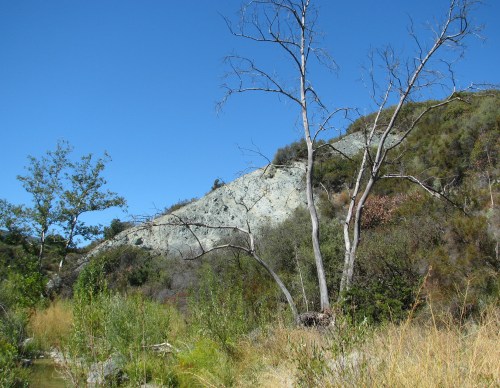 Serpentine Santa Ynez Mountains Blue Canyon Trail Santa Barbara Backcountry Hike