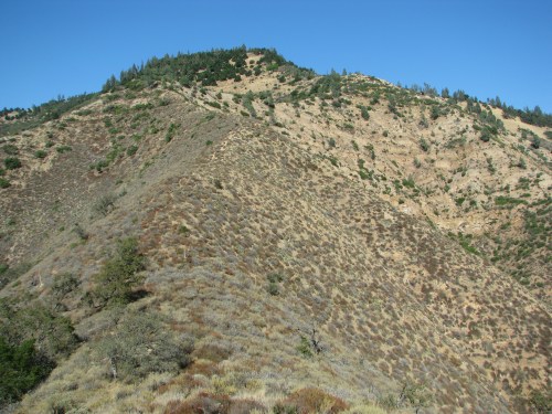 Coutler Pine Zaca Ridge Los Padres National Forest Santa Barbara Hike