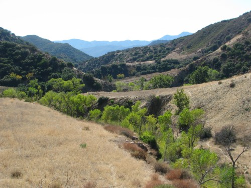 Agua Caliente Canyon Agua Caliente Hot Springs Canyon Los Padres National Forest Santa Barbara Hike Trail