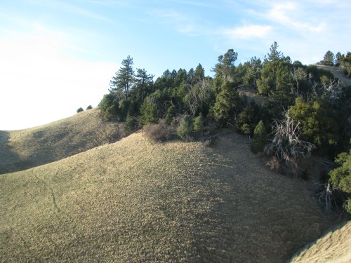 Ranger Peak Trail Los Padres National Forest Figueroa Mountain Road
