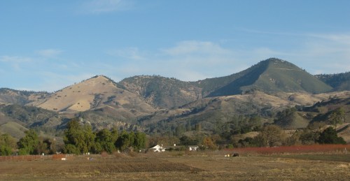 Sedgwick Reserve Sedgwick Reserve Hike Santa Ynez Valley