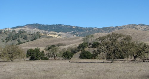 Sedgwick Reserve Sedgwick Reserve Hike Santa Ynez Valley