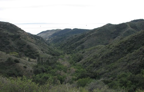 Baron Ranch Santa Ynez Mountains Hike Santa Barbara Coast Trail