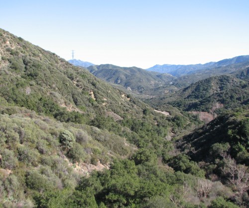 Blue Canyon Santa Barbara Hike Trail Los Padres National Forest