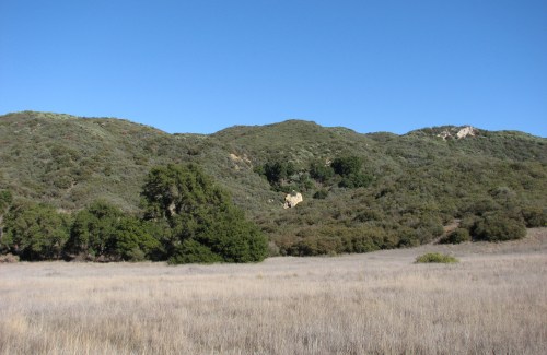 Cottam Camp Blue Canyon Santa Barbara Hike Trail Los Padres National Forest