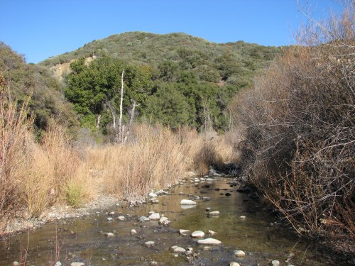 Blue Canyon Cottam Camp Santa Barbara Hike Trail Los Padres National Forest